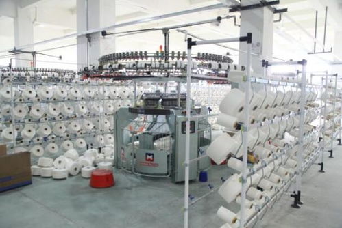 援疆暖民心 臺州助力新疆兵團第一師阿拉爾市民生發展技術開發紀實